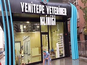 Komple İç Dekorasyonu Yaptığımız Veteriner Hastanesi